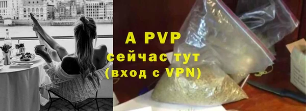 не бодяженный Гусев