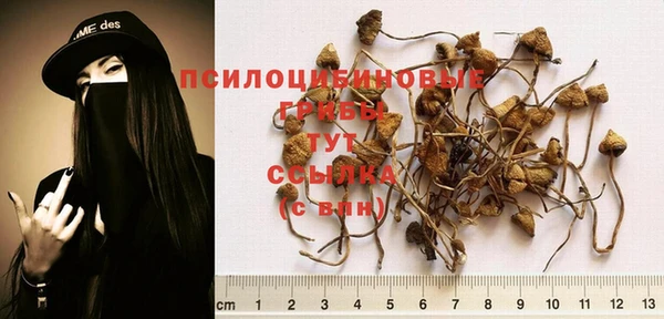 круглые Гусиноозёрск