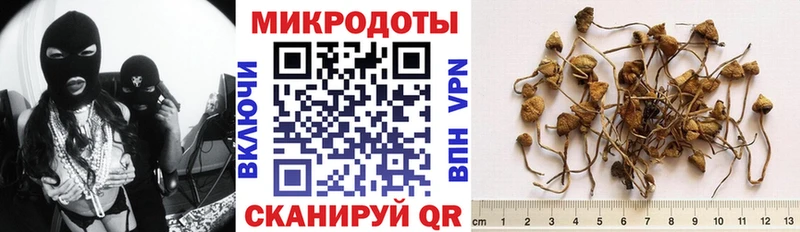 Псилоцибиновые грибы GOLDEN TEACHER Истра